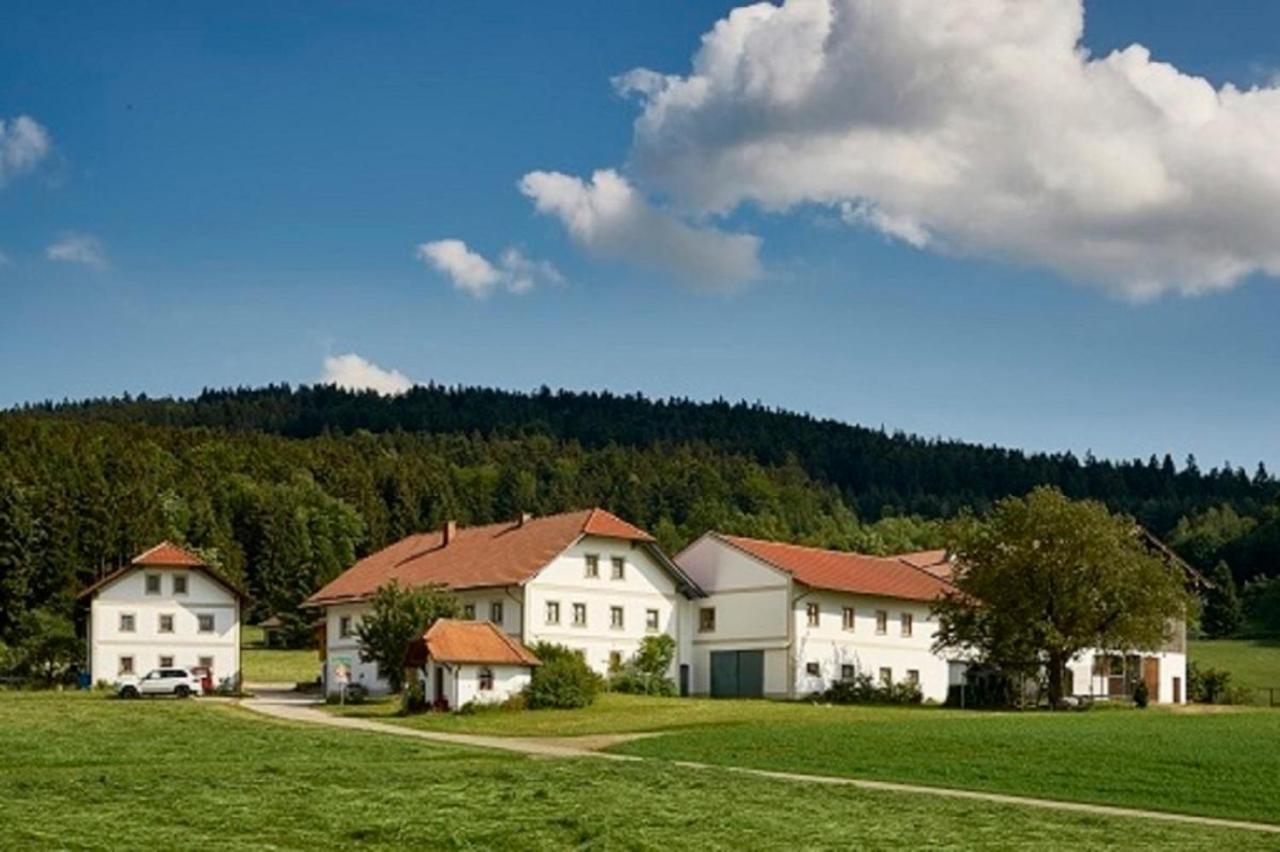 Apartmán Der Breinhof - Euer Urlaubsbauernhof Waldkirchen Exteriér fotografie
