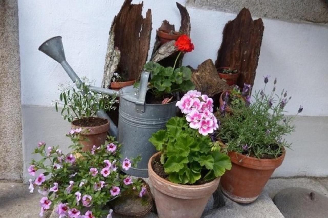 Apartmán Der Breinhof - Euer Urlaubsbauernhof Waldkirchen Exteriér fotografie